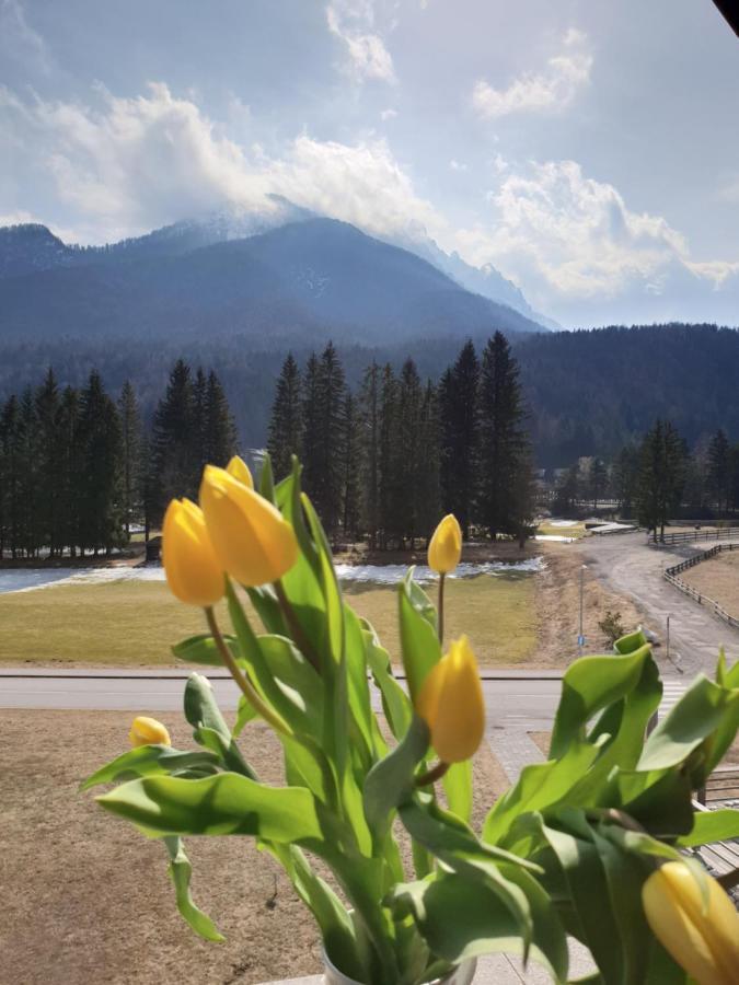 Apartma Kurji Vrh - Chicken Top Kranjska Gora Bagian luar foto