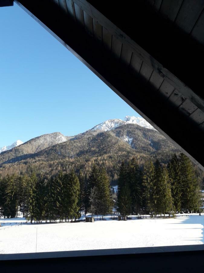 Apartma Kurji Vrh - Chicken Top Kranjska Gora Bagian luar foto