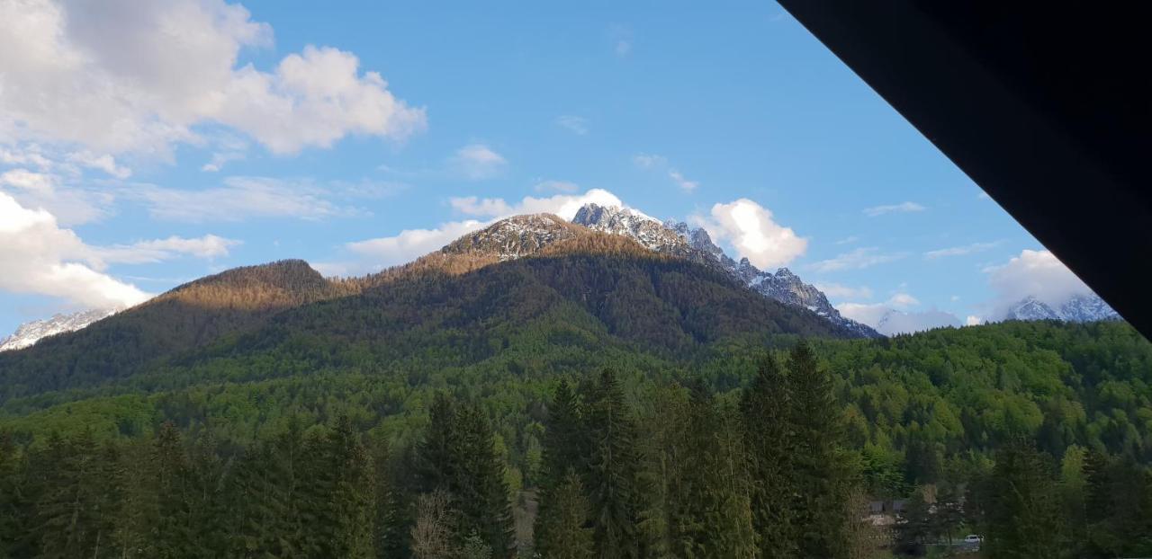 Apartma Kurji Vrh - Chicken Top Kranjska Gora Bagian luar foto
